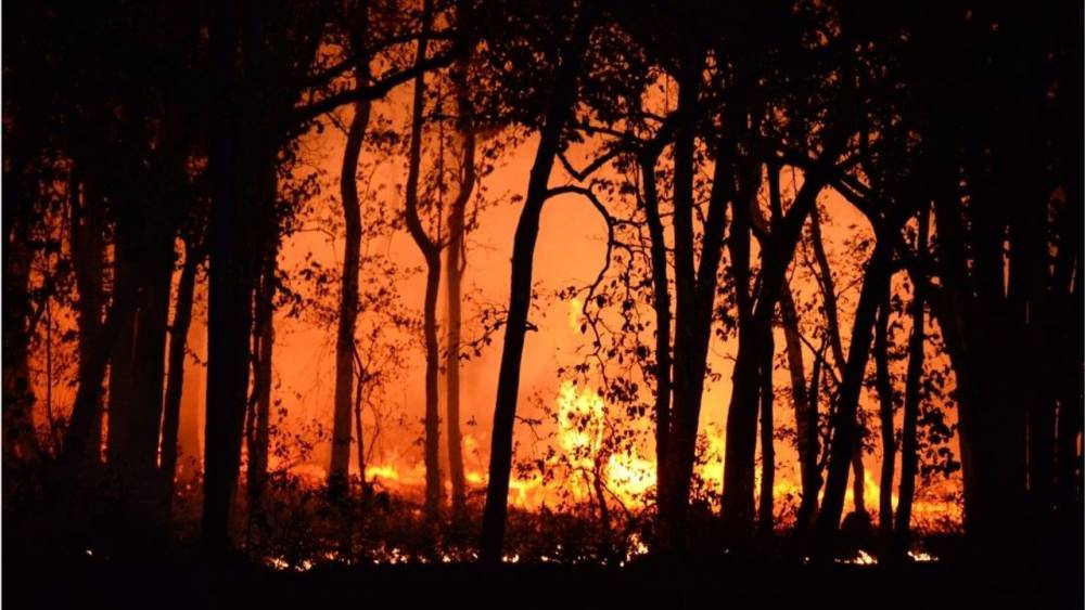 İzmir yanıyor: Buca, Ödemiş ve Çeşme’de orman yangınlarıyla mücadele sürüyor