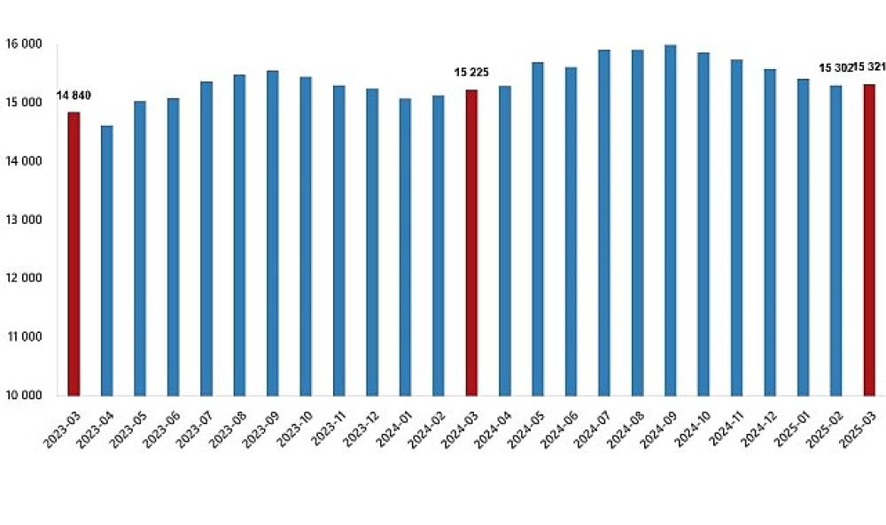 Ücretli Çalışan İstatistikleri, Mart 2025