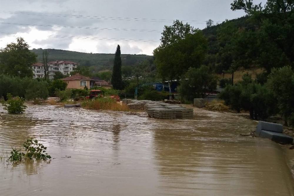 Bursa Mudanya'da 'sağanak' teslimiyet! 260 konutu su bastı, ağaçlar devrildi, dereler taştı!