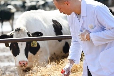 Tarımsal girdi Mart'ta yükseldi... Veteriner harcamaları revaçta