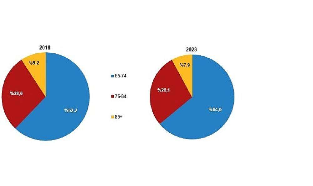 Türkiye'de Yaşlı Nüfus Artıyor: Yasal ve Sosyal Politikalar Gerekli