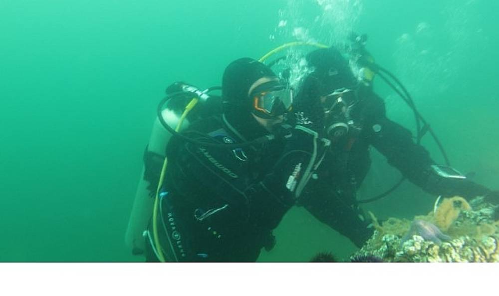 B&uuml;y&uuml;kakın: &ldquo;Dipten diriliş  t&uuml;m Marmara'ya yayılıyor"