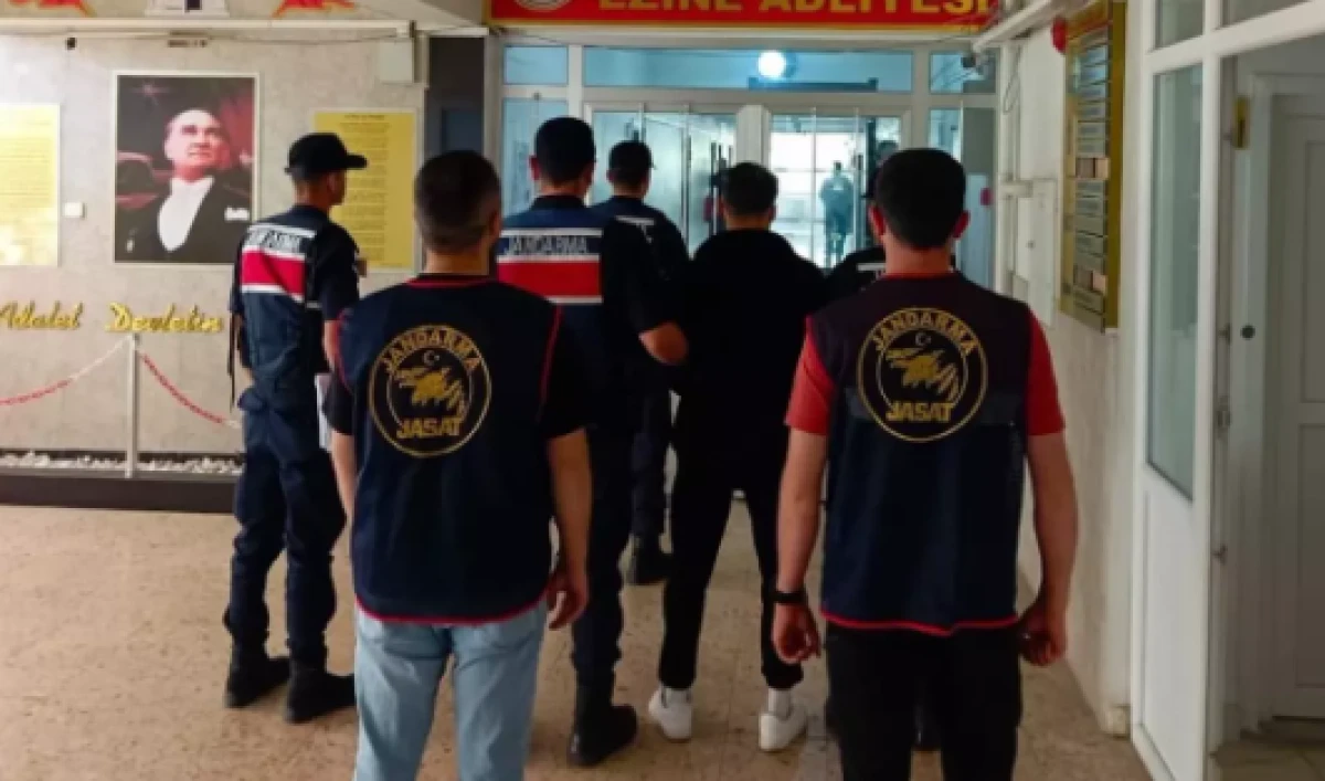 Çanakkale’de 14 günde 11 orman yangını: 6 kişi gözaltında, 