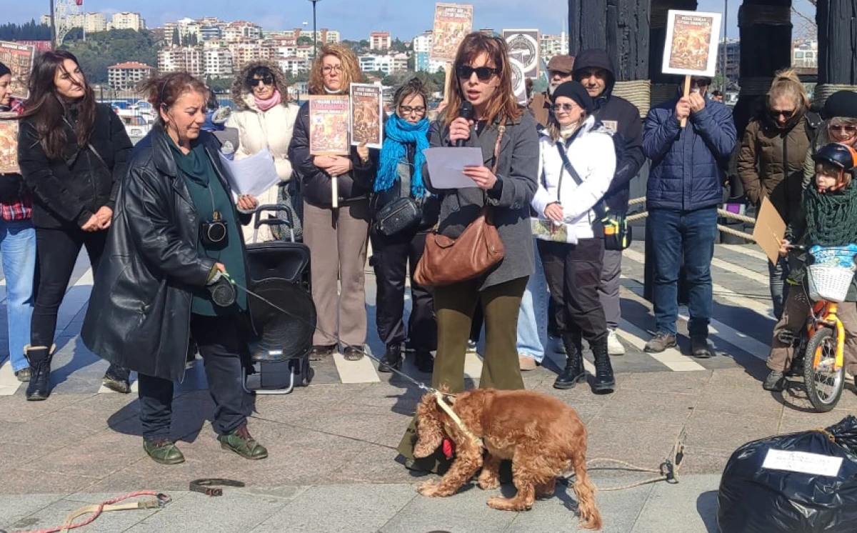 Avukat Zişan &Ccedil;anak&ccedil;ıoğlu&rsquo;ndan Hayvan Hakları İ&ccedil;in Vicdan ve Hukuk &Ccedil;ağrısı