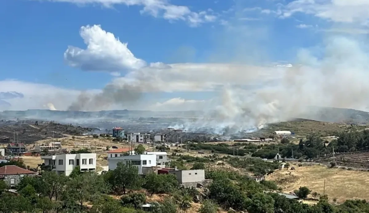 Ayvacık'ta Rüzgarın da etkisiyle Yayılan Yangın Söndürüldü