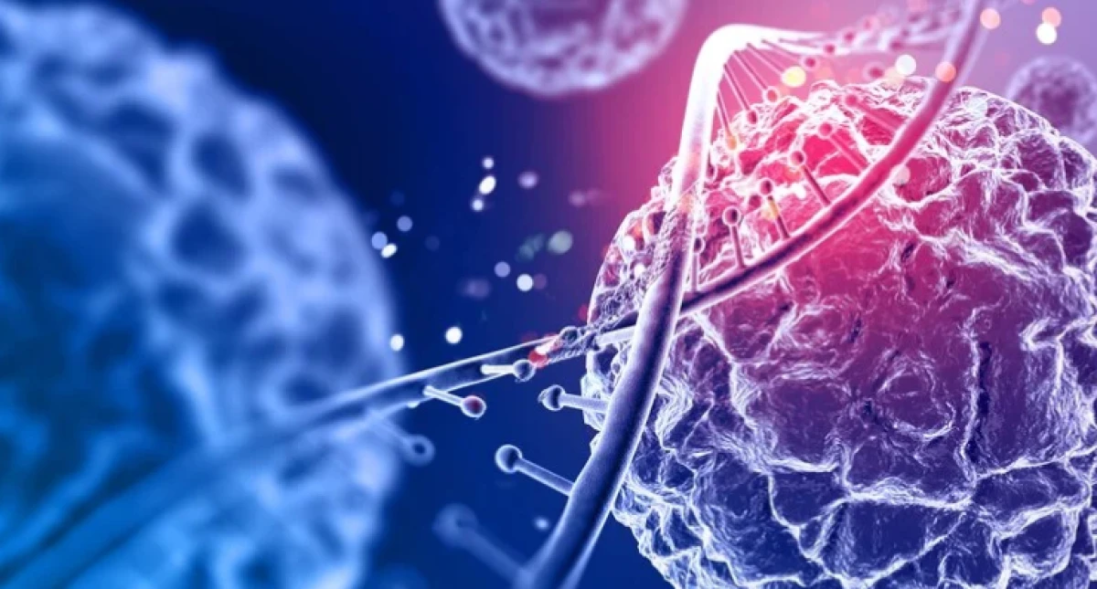 Bilim İnsanları Uyardı: Kan, 50 Yaşından Sonra Daha Hızlı Yaşlanıyor