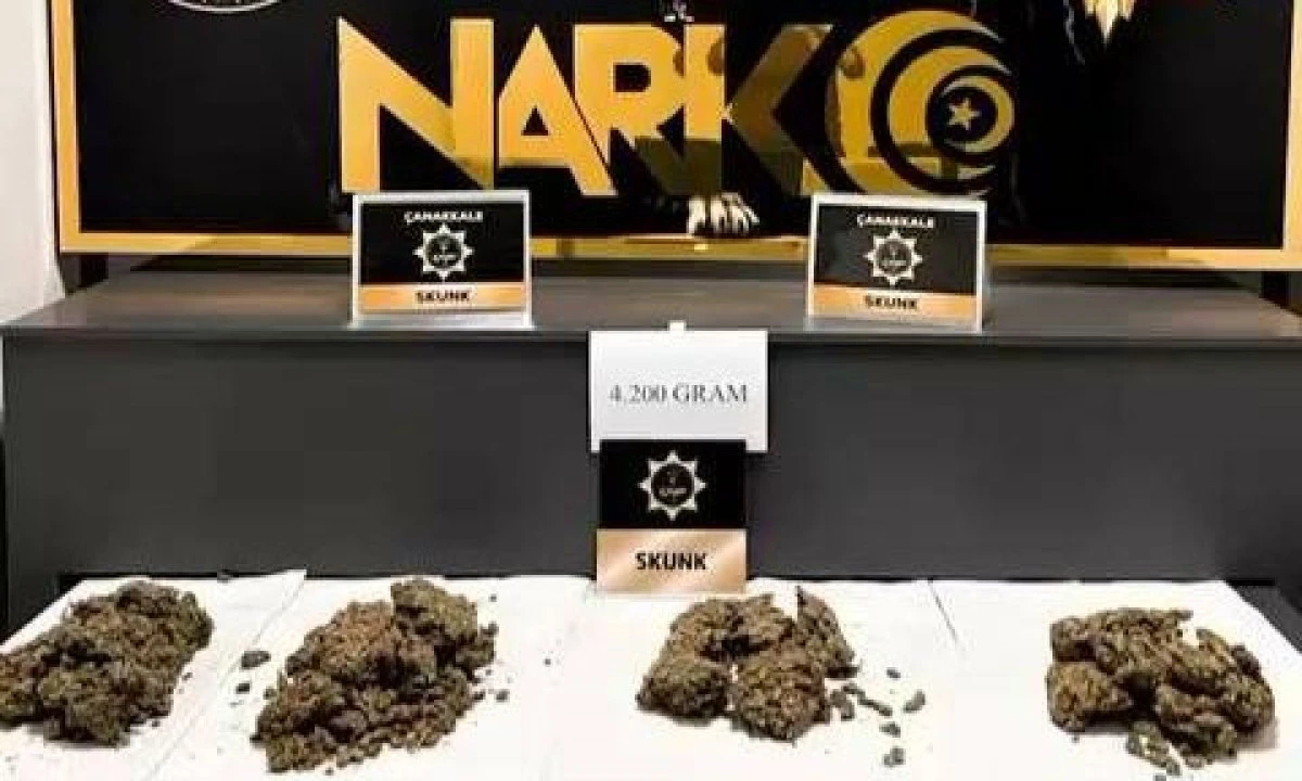 &Ccedil;anakkale&rsquo;de Zehir Tacirlerine Milyonluk Darbe