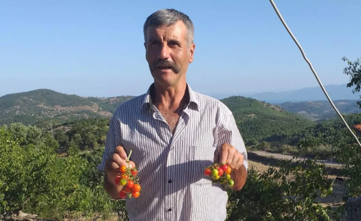 Çocuğunun Terliğini Ararken Canından Oldu..Eski Muhtar Ölü Bulundu 