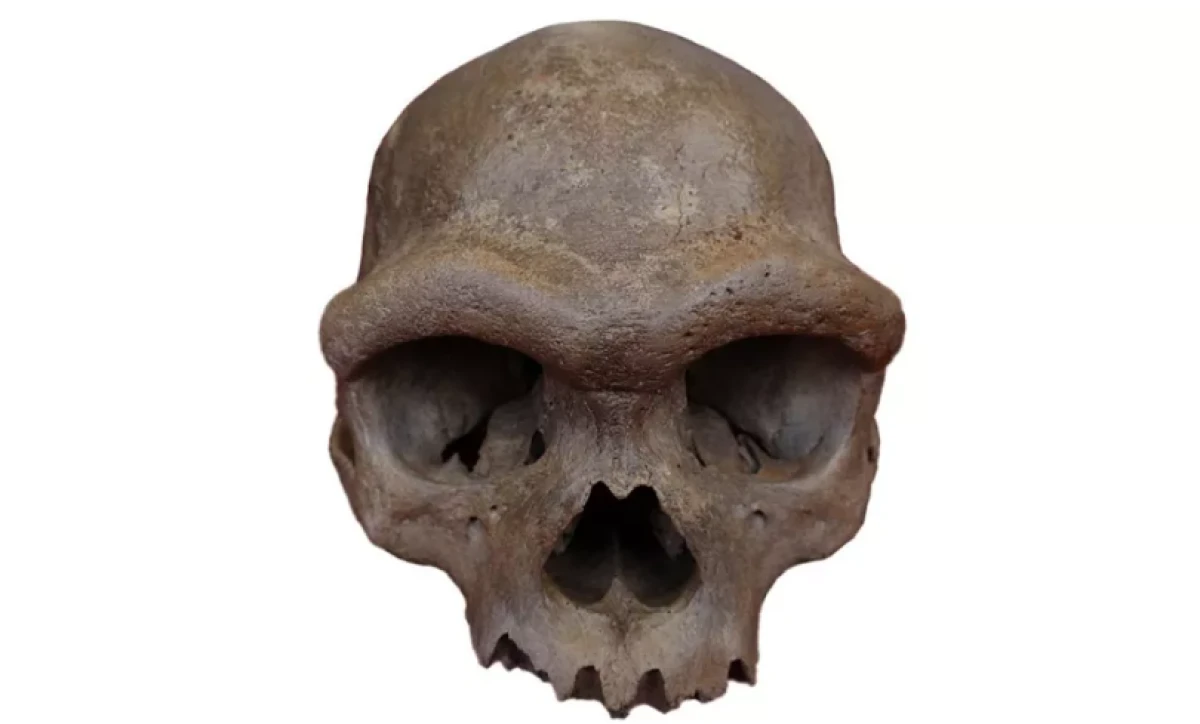Denisovalılara ait ilk tam kafatası ve Ejderha Adam ortaya çıktı