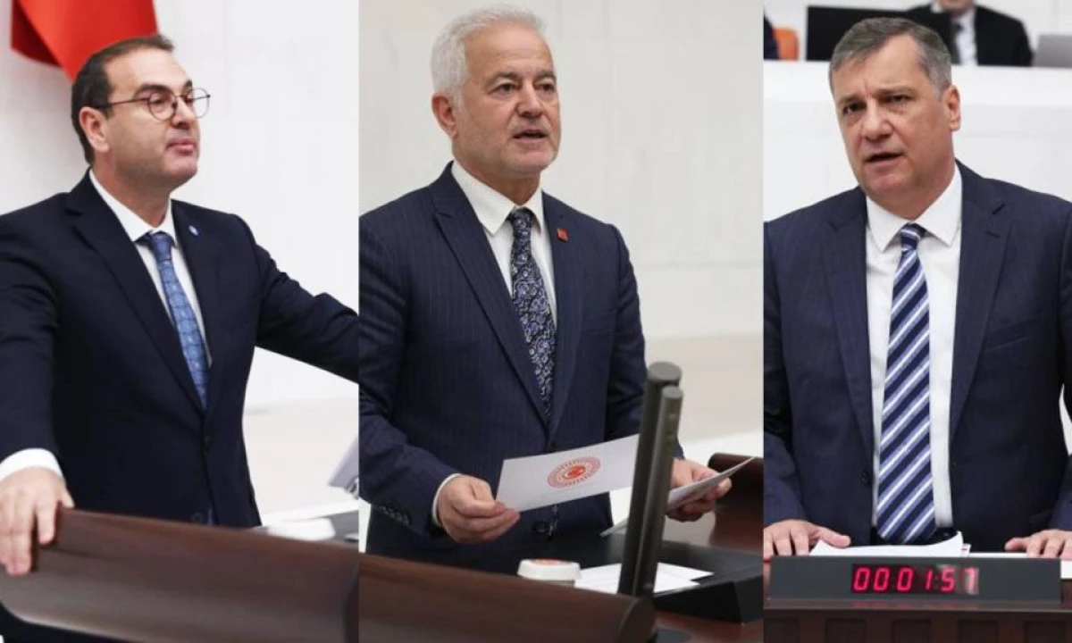 G&uuml;neşhan, Ceylan ve Uz&rsquo;dan Dardanos İ&ccedil;in Ortak &Ccedil;ağrı: &Ouml;zelleştirmeden &Ccedil;ıkarılsın