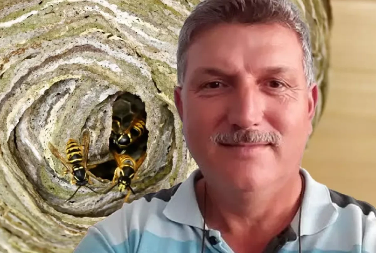 Hobi Bahçesinde Arı Saldırısı sonuucu Hayatını Kaybetti