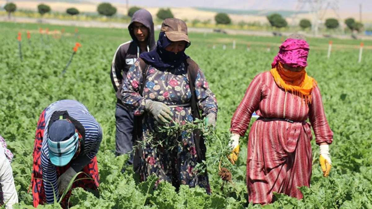 İYİ Partili Pestil Uyardı: Tarımda &Uuml;retim Duruyor, &Ccedil;ift&ccedil;i Umudunu Yitiriyor