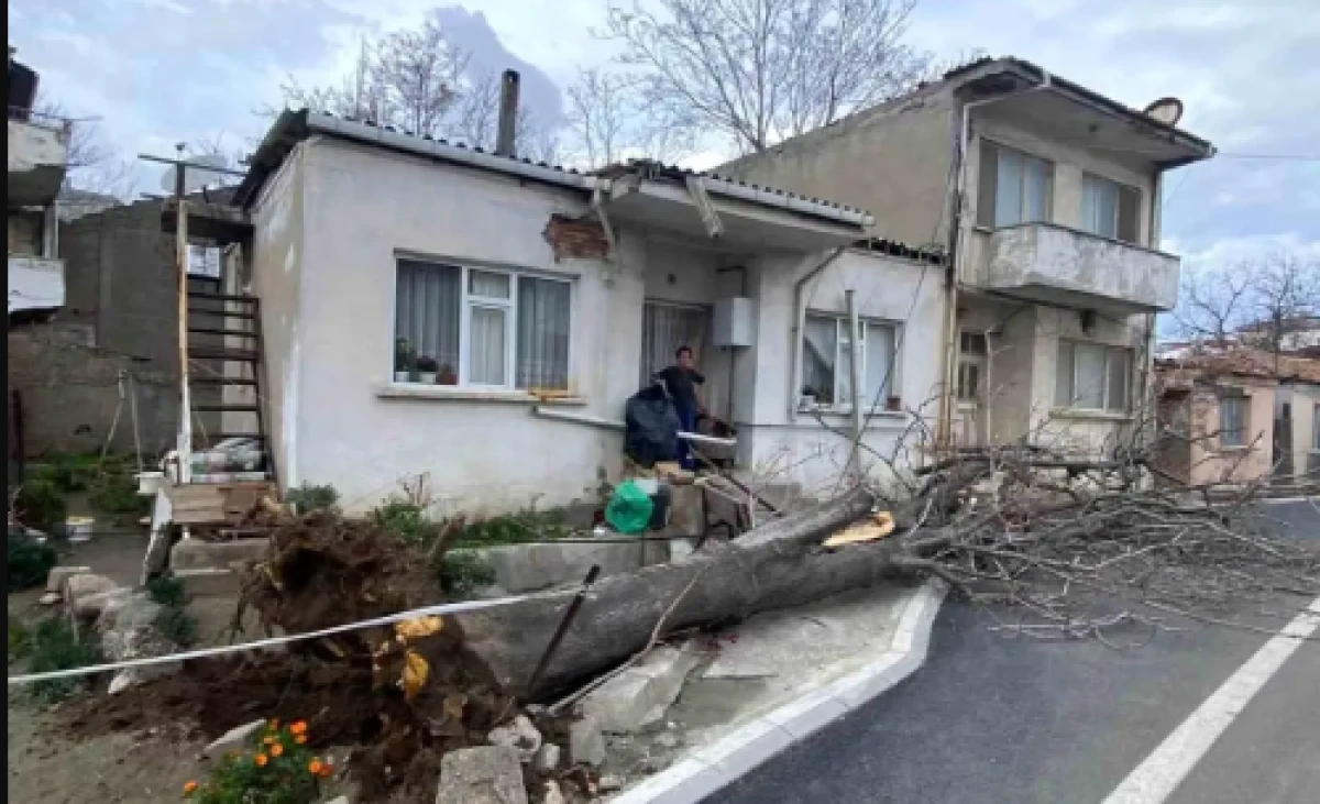  Lodos Ağacı Devirdi, Evde Hasar Oluştu