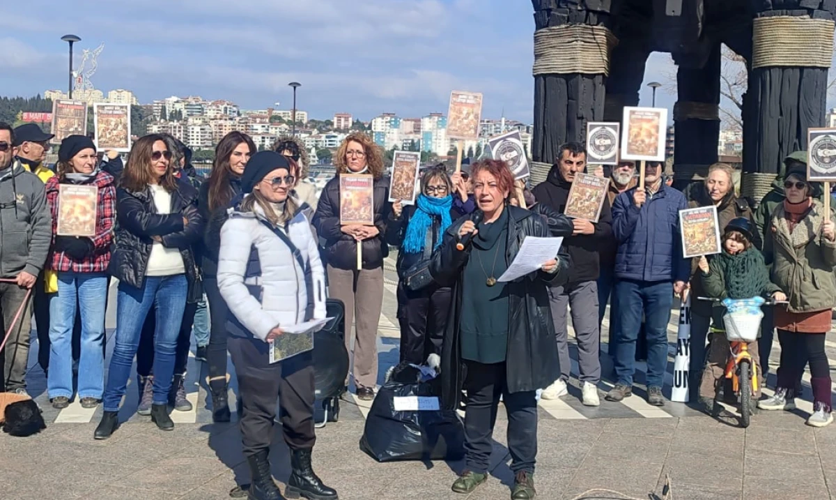 Yaşam Hakkı İ&ccedil;in Tek Ses: T&uuml;rkiye Sokak Hayvanları İ&ccedil;in Meydanlara İndi